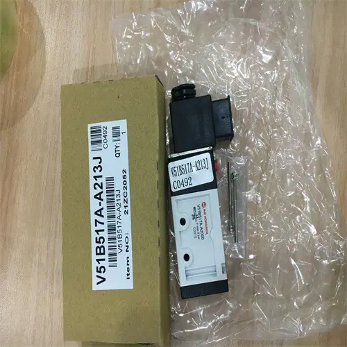 V51B517A-A213J