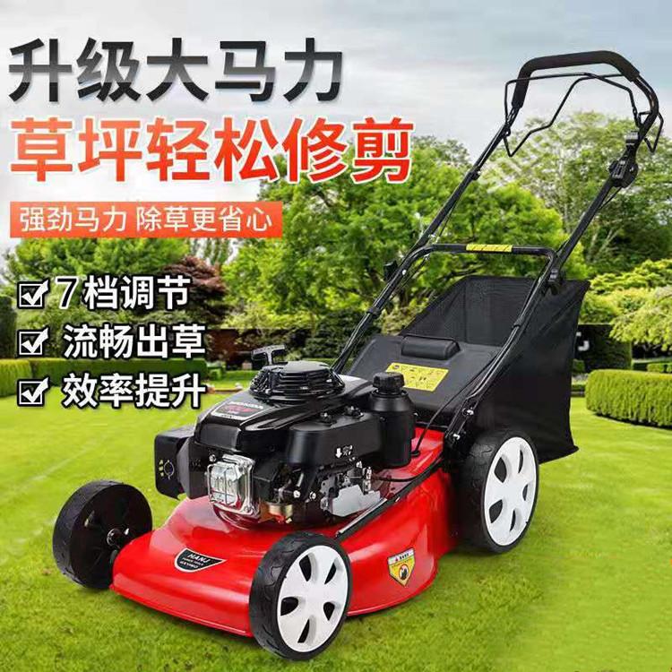 微信图片_20210105101026_副本
