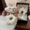 Carta de Invierno ~ Pinza para el Cabello de Estrella Copo de Nieve Relleno de Otoño e Invierno Pinza Lateral para Mujer Pinza Dulce y Linda Coreana Pinza para el Flequillo
