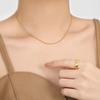 Cadena Europea y Americana Transfronteriza Nueva Nicho Simple Torcida Cuadrada de Hueso de Serpiente Moda para Mujer Acero de Titanio Chapado en Oro Personalizado de Alta Gama Cadena de Hueso de Serpiente