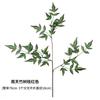Simulação de Folhas de Ramo Sul de Tianzhu Carregando Paisagem de Engenharia de Decoração de Folhas Verdes