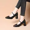 Sapatos femininos estilo retrô de couro macio com salto grosso, novos sapatos Mary Jane para mulheres no outono de 2026, adequados para o trajeto e trabalho, saltos médio-altos