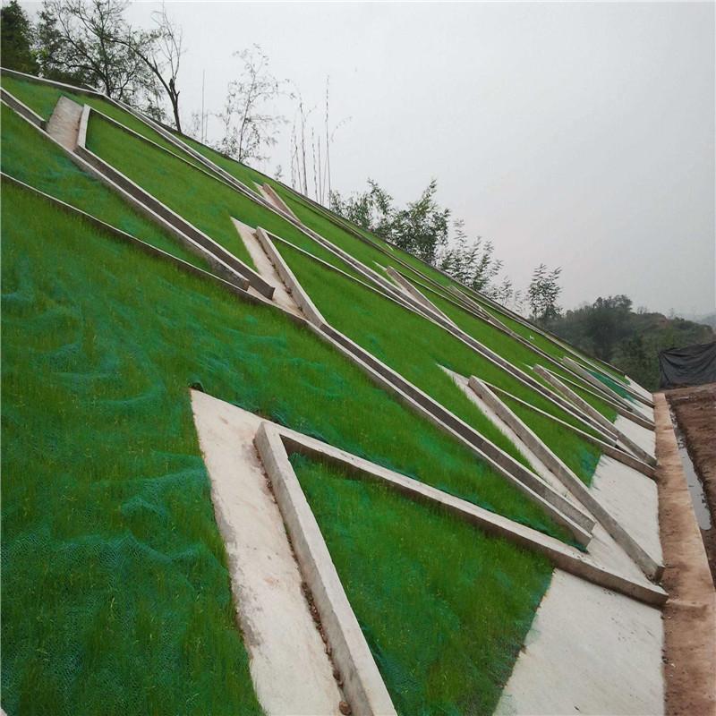 三维植被网8