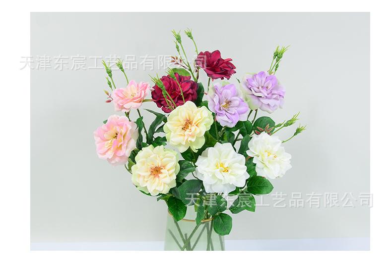 详情_07.jpg