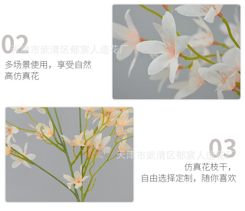 详情_09.png
