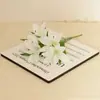 Ramo de Lirios Personalizado 5 Ramas Lirio Silvestre Boda Sala de Estar Decoración Accesorios Flores Falsas Flores Artificiales Flores de Seda Venta al Por Mayor