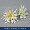 Flores artificiais brancas vendas quentes transfronteiriças saco de material caixa de presente caixa de flores material auxiliar boné viseira boné de estudante decoração DIY