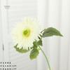Flor Artificial Gerbera de un Solo Tallo Estilo Fresco Ins Decoración del Hogar Flor Gerbera Accesorio de Fotografía de Mano Leyouyi