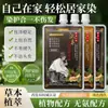 Creme de Tintura de Cabelo Descartável Hanfeng Não Toca o Couro Cabeludo, Não Contém Peróxido de Hidrogênio, Pode Cobrir Cabelos Grisalhos, Tintura de Cabelo com Extrato Vegetal Atacado