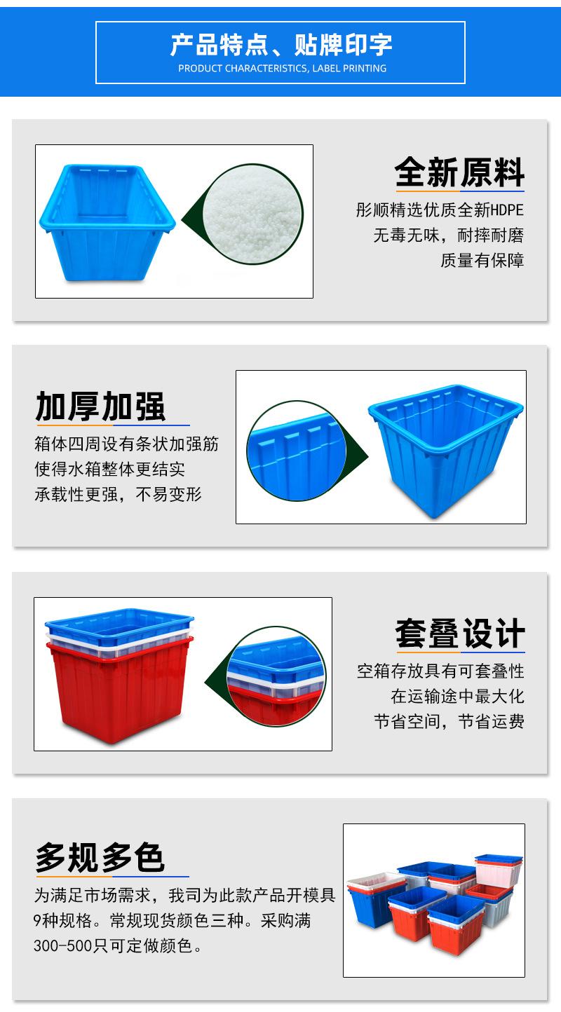 彤顺单款2019-8-26_07