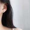 Brincos de Joia Dourados Simples Distintivos Versáteis Estilo Pequeno Ins Exquisitos Mini Folha Pequena Cravejados com Diamantes Estilo Japonês e Coreano