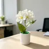 Estilo Nórdico 7 Hastes Pequena Lírio Hortênsia Planta em Vaso Sala de Estar Mesa de Jantar Decoração Flor Artificial Ornamento Arranjo de Atmosfera Interna Bonsai