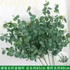 Verdura para Casamento Grama Barba de Dragão Verdadeira Grama de Aspargo Estilo Floresta Verde Branca Decoração de Fundo Pendurado Arranjo de Flores Decoração de Beira de Estrada Flores Artificiais