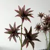 Planta Bambu Lírio Simulado Paisagismo Material Folha Verde Cena de Casamento Flor Falsa Arte Floral Bambu Lírio de 3 Pontas Fabricante Atacado