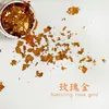 Fragmentos de Foil Dorado, Foil Dorado de Alto Brillo Dorado y Plateado Celebridad de Internet, Lentejuela Versátil Deslumbrante Estilo Ins, Deslumbrante Estilo Japonés
