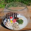 Pecera de vidrio redonda creativa con micropaisaje, botella de vidrio ecológica con musgo, hidropónica, planta suculenta y flores, venta al por mayor