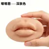 Módulo de Tatuaje de Labios 3D, Módulo Sólido de Labios de Silicona Realista para Principiantes para Practicar el Tatuaje de Labios