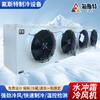 Ventilador Especial de Aire Frío para Almacenamiento en Frío de Congelación Rápida, Descongelación y Re-Aumento de la Temperatura del Almacén, Descongelación de Almacenes Fríos Pequeños, Tecnología de Descongelación por Agua, Aire Frío