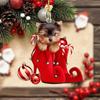 Nuevo Colgante Decorativo Acrílico Accesorios Perfectos para el Coche y Adornos para el Árbol de Navidad