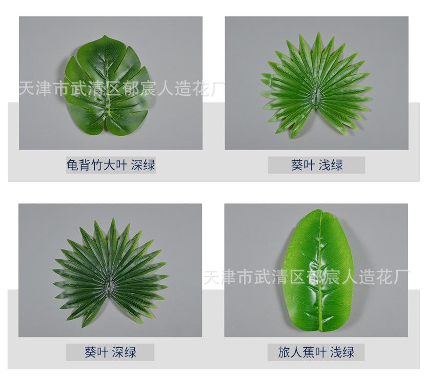 详情_03.jpg
