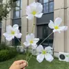 5 cabeças de flores cosmos Monet, flores artificiais, flores falsas para decoração de casamento e casa, atacado