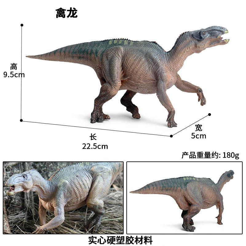 禽龙