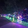 Led Formato Elefante Canguru Movendo Livre Galinha Pato Objeto Luz Iluminação Paisagística Show de Luzes de Feriado Luz Quadrada para Gramado