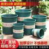 Macetas de gran capacidad al por mayor, plantas verdes para balcón, plantas pequeñas en maceta, tamaño grande engrosado venta de liquidación para el hogar, macetas de plástico de galón para suculentas