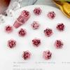 Explosões Vermelhas Flores Finas Brilhantes Acessórios para Nail Art Joker Luminoso Camélia de Resina Bolsa de Material para Nail Art
