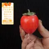 Modelo de caqui de simulación adornos de fruta falsa linterna roja fotografía de ventana accesorios de fotografía decoración de frutería sala de estar