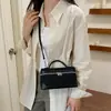 Bolsa para Lonchera de Lujo Otoño/Invierno 2026 Terciopelo Escarchado Retro Bolso de Mano Exquisito Bolso Cruzado Casual de Hombro de Nicho