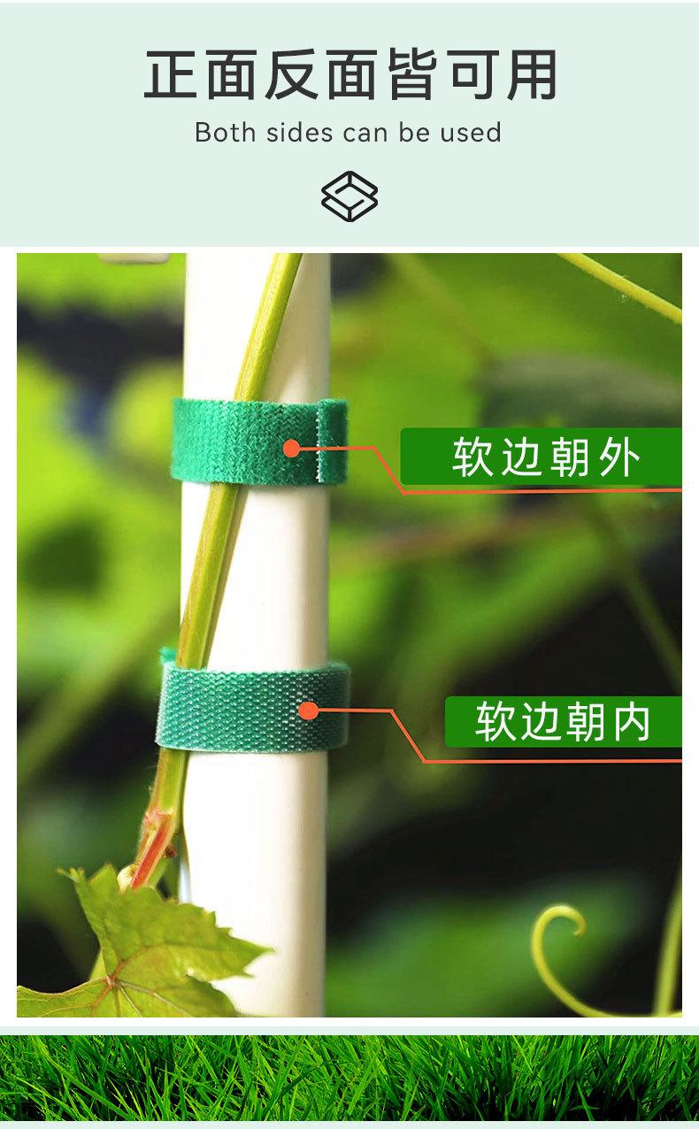 绿植魔术贴详情页_04.jpg