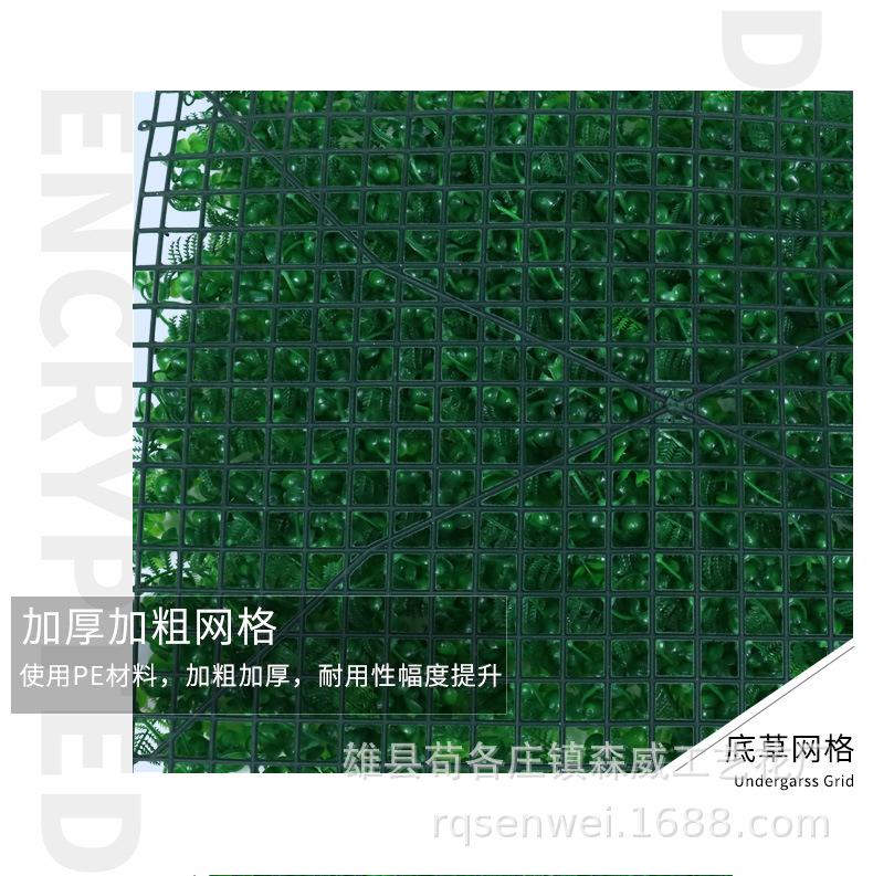 加密米兰草_07.jpg