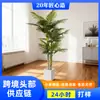 Palma Areca artificial grande estilo nórdico, planta verde alta de pie, palma Areca artificial para decoración de sala de estar interior