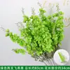 Verdor para Bodas Hierba Barba de Dragón Verdadero Hierba Espárrago Bosque Blanco Verde Estilo Decoración Fondo Colgante Arreglo Floral Decoración de Carretera Flores Artificiales