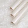 Decoração Temática de Volta às Aulas Materiais Flores e Folhas de Papel Perolado Morandi Decoração de Parede Papel de Presente