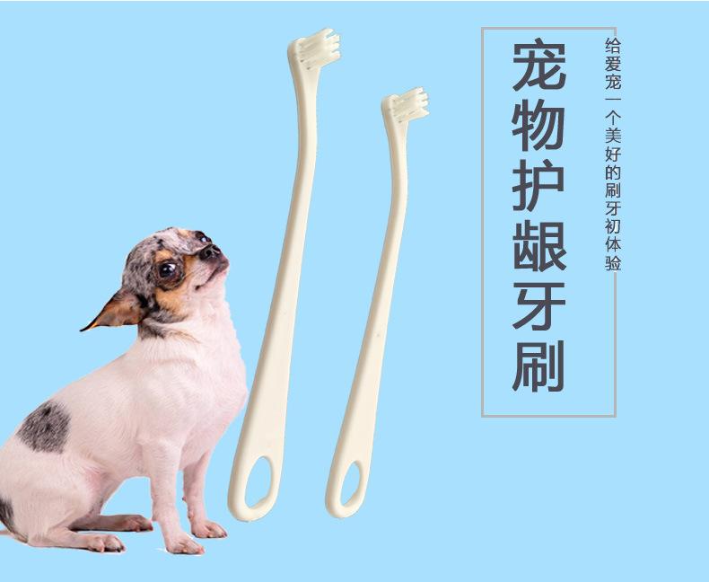 狗狗牙刷.jpg