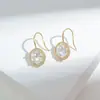 Brincos Redondos Geométricos de Zircônia Novos 2025 para Mulheres Agulha de Prata S925 Brincos da Moda Design de Nicho Brincos de Luxo Leve