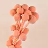 Bolas Doradas del Fabricante, Flores Naturales Reales, Materiales para Manualidades, Decoración del Hogar para la Sala de Estar, Arreglos Florales, Adornos de Flores Secas, Martillos Dorados