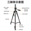 Soporte de fotografía para transmisión en vivo en interiores y exteriores, universal para cámaras DSLR y teléfonos móviles, trípode de suelo extensible libremente 3366
