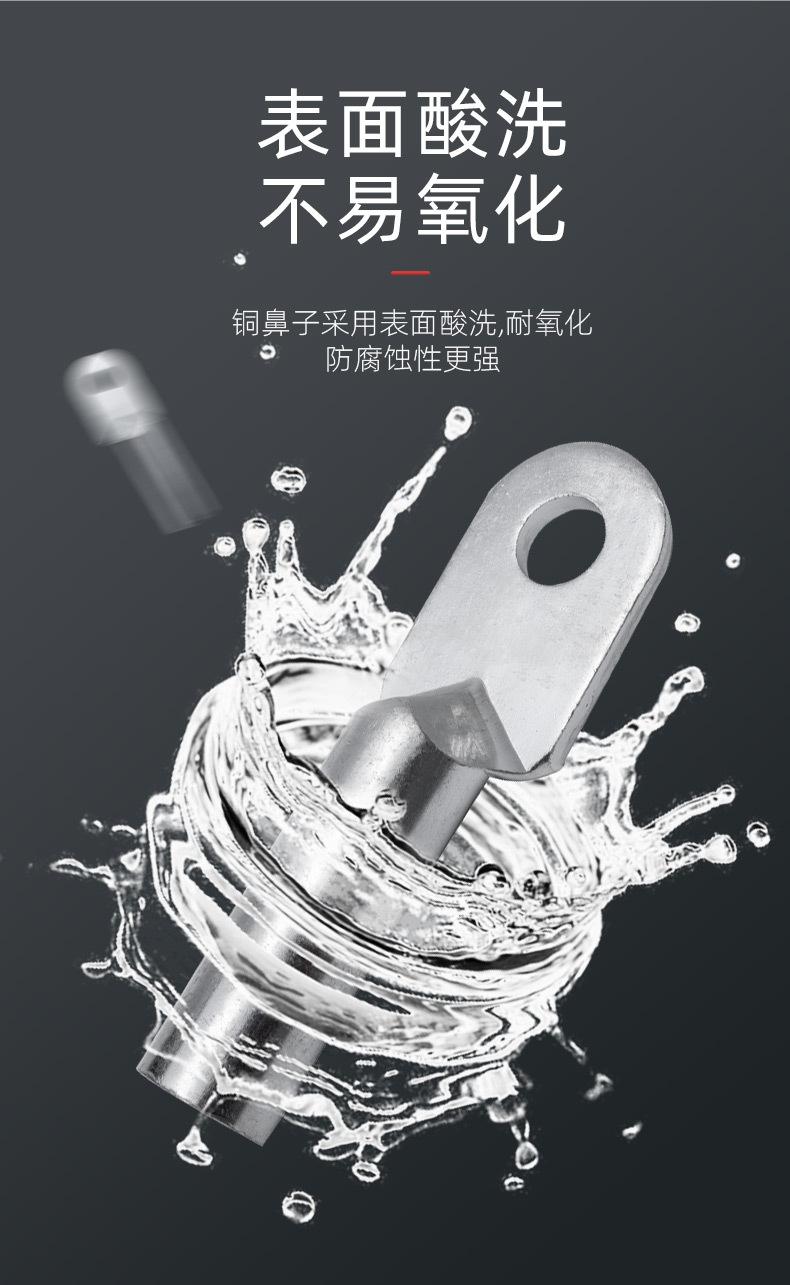 镀锡铜鼻子_04.jpg