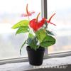 Atacado simulação planta 12 cabeça flor de palmeira vermelha adereços pacote planta parede materiais correspondentes decoração de casamento em vaso flores falsas