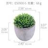 [Suculentas Mini] Planta Suculenta Artificial Bonsái en Maceta de Pulpa de Papel (Maceta Incluida) Adorno Ornamental Imitación de Planta