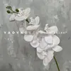 Decoración de Mesa Escandinava de Falenopsis de 9 Cabezas Impresa en 3D Película Floral de Boda Flor Artificial de Falenopsis Accesorios para Fotografía