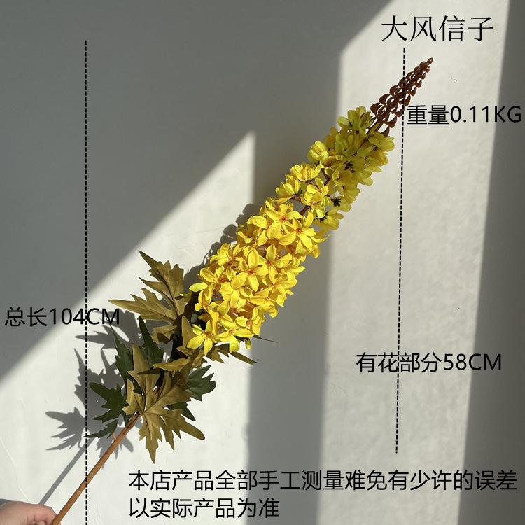 尺寸图