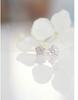 Brincos de Tachinha Novos com Strass Brilhantes de Flor e Estrela em Estilo Coreano, Acessórios Versáteis e Elegantes, Direto do Fabricante, Atacado