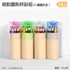 Lápices de Colores de 12 Colores Empacados en Barril con Sacapuntas Integrado para Graffiti y Coloreado a Mano de Estudiantes de Primaria, Lápices de Colores Profesionales para Dibujo al por Mayor