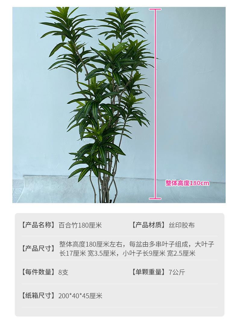 180cm (2).jpg