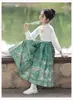 Hanfu Original para Niñas, Traje Ma Mian Mejorado, Disfraz Chino Antiguo Estilo Ming 2024 para Niños, Traje Tang Diario Estilo Antiguo con Pliegues