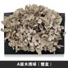 Hortensia de madera Flor eterna Rosa eterna central Caja de regalo Cubierta de vidrio Material de la flor Material de la flor preservada Material de la flor eterna